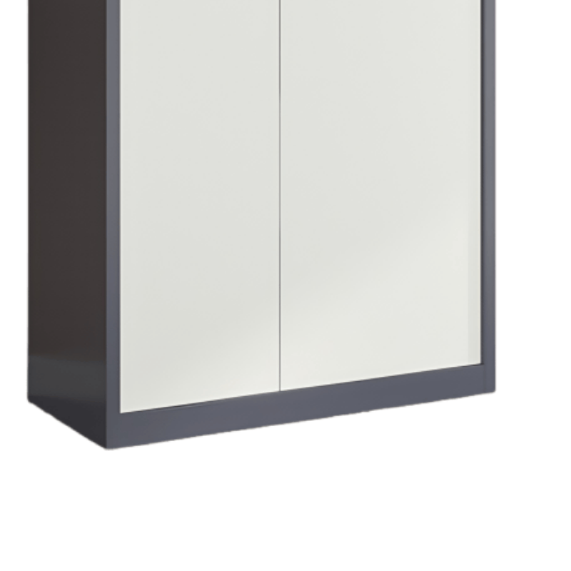 鑫木樽指纹文件柜通双节个