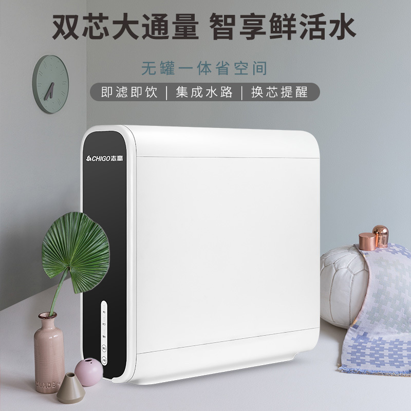 志高(chigo)志高净水器家用直饮600g滤水器