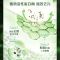 立白卫仕除菌洗衣液青翠茶园1kg*1瓶+1kg*1袋茶树精油精萃抑菌除异味深层洁净医护级