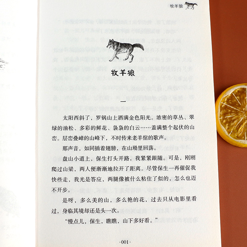 [正版]带刺的朋友牧羊狼奇妙的田螺袖口里的小松鼠全4册宗介华儿童文学作品集童年四季小学生课外兴趣阅读亲子阅读儿童成长故事高清大图