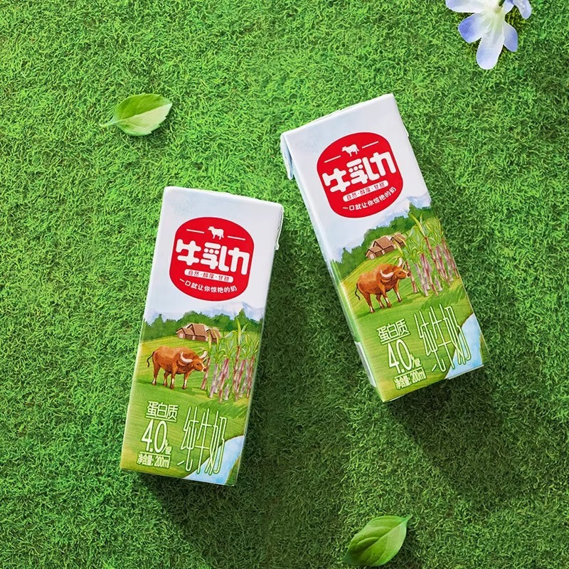 来伊份牛乳力纯牛奶整箱装200ml*12盒灭菌纯牛奶水牛乳早餐代餐高清大图