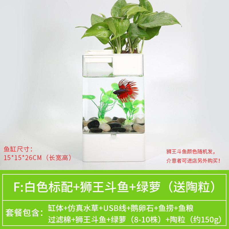 水培植物养鱼缸一体家用塑料创意懒人小型免换水桌面斗鱼专用客厅