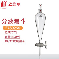 SYNTHWARE F789250分液漏斗玻璃节门,250ml,19/22玻璃塞子 个