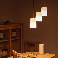 智睿雾朦胧餐吊灯LED光源餐厅卧室饭厅个性创意灯具米家APP智能家居小爱同学语音控制智能彩光