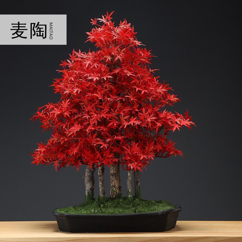 创意家居仿真植物盆景新中式样板房绿植迎客松摆件客厅装饰品_11