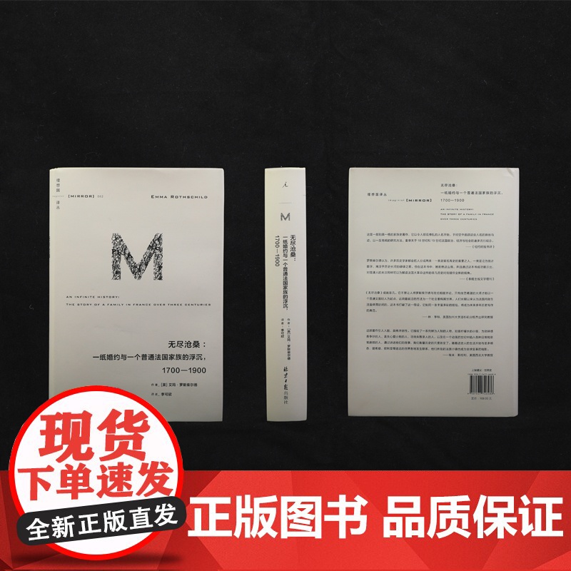 理想国译丛062:无尽沧桑:一纸婚约与一个普通法国家族的浮沉1700—1900高清大图