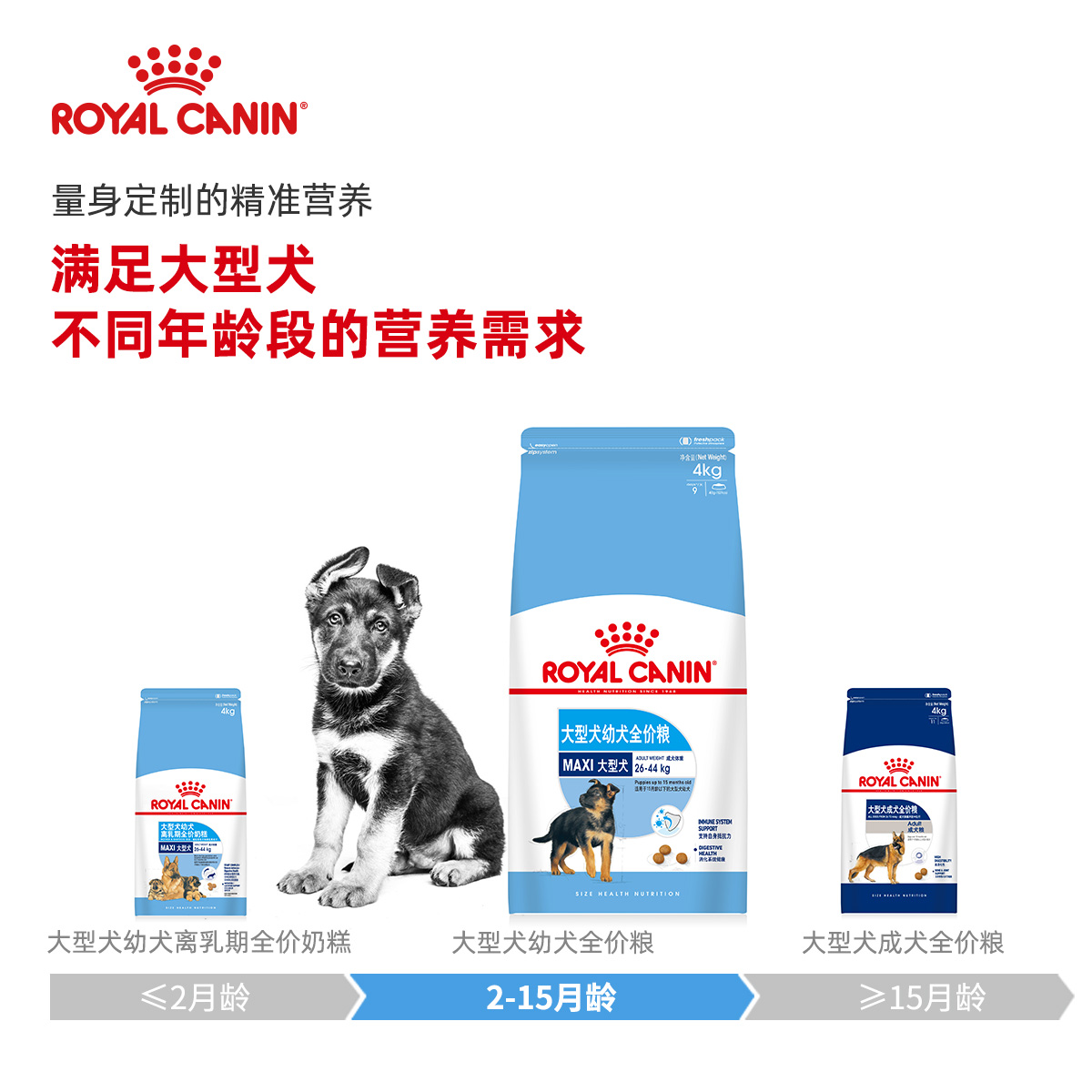 ROYAL CANIN 皇家狗粮 MAJ30大型犬幼犬狗粮 2-15月龄 全价粮 4kg 金毛拉布拉多阿拉斯加秋田马犬高清大图