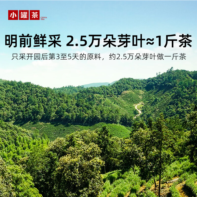 小罐茶金罐系列 2026年明前绿茶精品安吉白茶茶叶礼盒40g高清大图