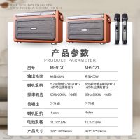 万利达 M+9121 阳光宝盒系列广场舞音响户外移动手提便携蓝牙音箱带无线麦克风 M+9121灰色(6.5英寸)