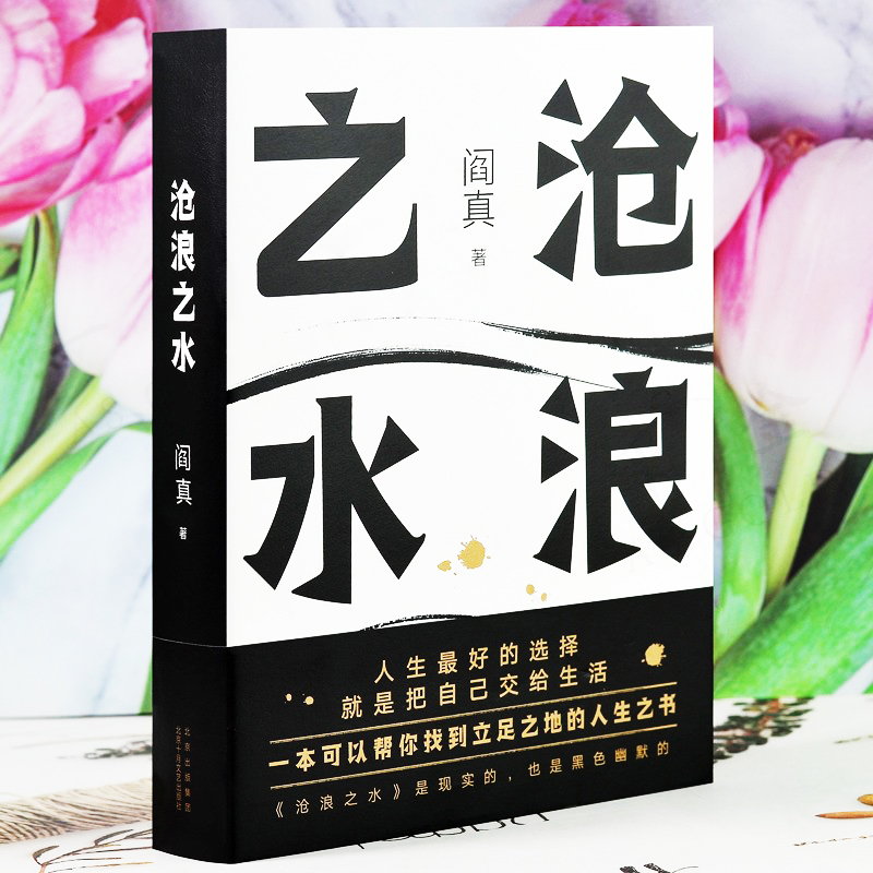 [醉染正版]追问 丁捷著 电视剧狂飙姊妹篇 丁捷著 二月河作序推荐 反腐纪实文学 从严治党背景下的反腐警示录 沧浪之水阎高清大图