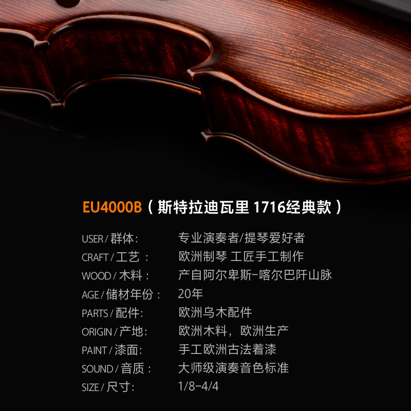 EU4000B Christina克莉丝蒂娜 整琴欧洲制作原装进口演奏小提琴