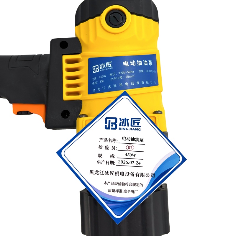冰匠 220V不锈钢管手提电动抽油泵 台 450W