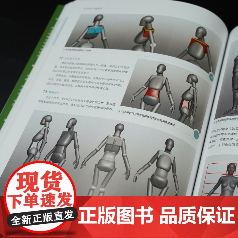 3D艺用人体解剖学 600幅模型建构分解图 从2D到3D满足各领域艺术家的创作需求 数字雕刻人体艺术书籍 后浪正版高清大图