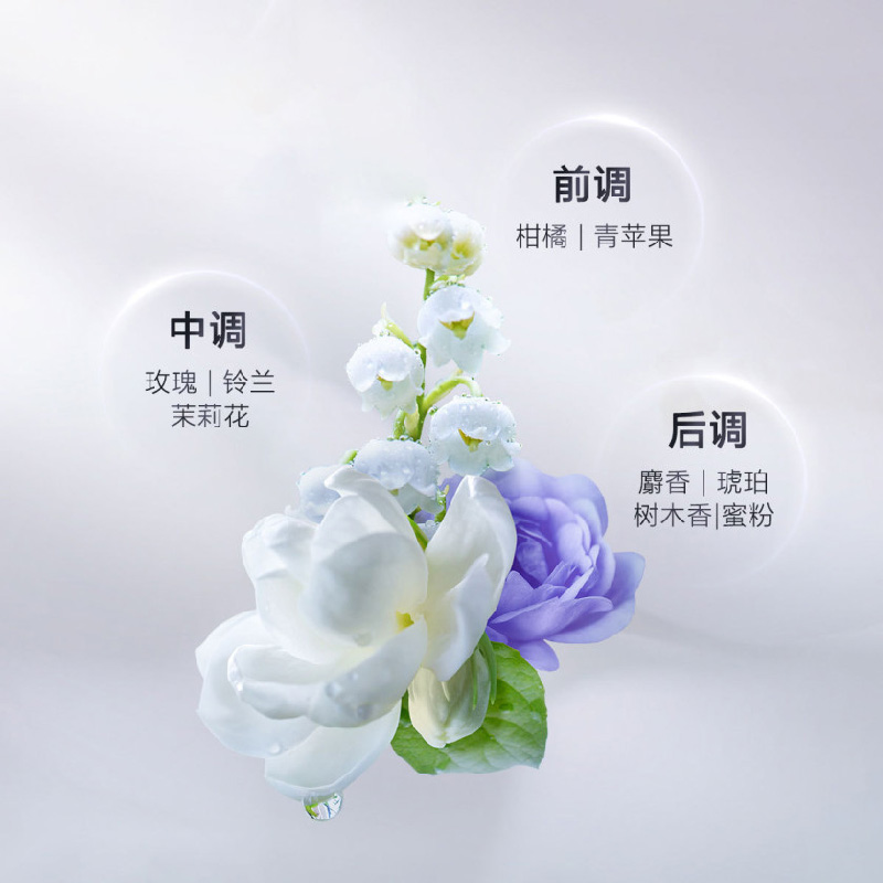 芬浓 透润美容液洗发露550ml+护发素550ml+发膜230g 修护受损发质 发膜级滋养强韧柔顺高清大图