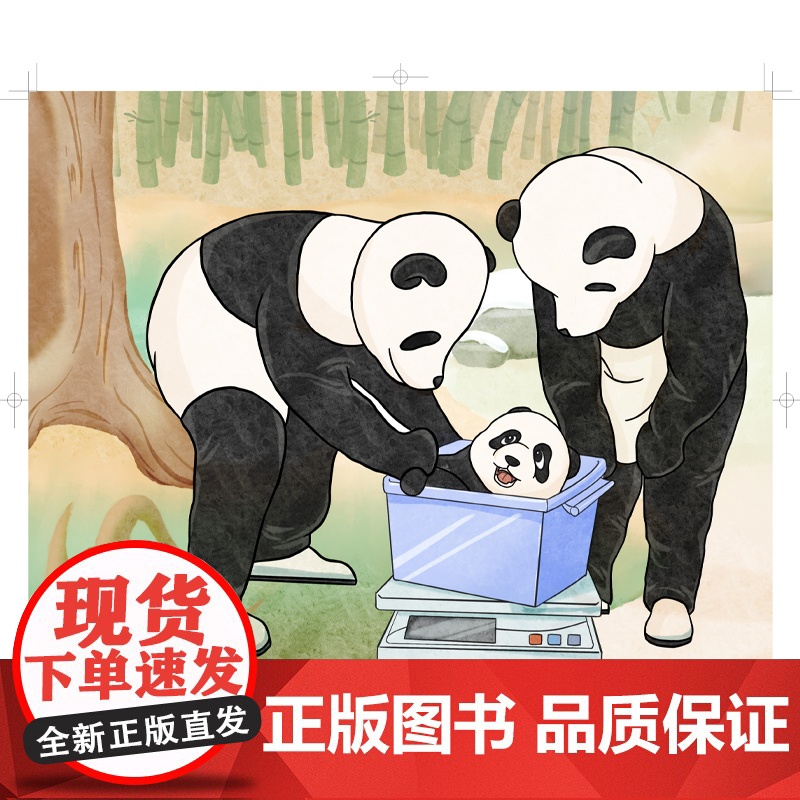大熊猫的故事(中国珍稀物种科普丛书) 上海科技馆原创动物科普绘本讲述大熊猫的奇妙故事 艺术质感的少儿科普读物高清大图
