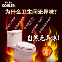 [年货节]科勒马桶艾黛儿连体连体座便器虹吸式卫生间抽水坐便器缓降盖5171