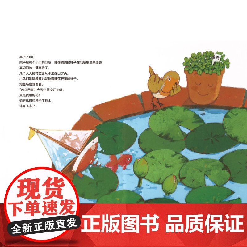 花盆小弟和他的朋友们 全8册 儿童绘本 自然 生命 温馨 故事绘本 北京科学技术出版社高清大图