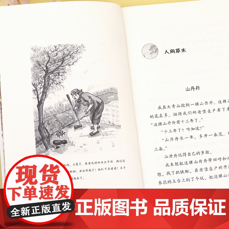 昆虫备忘录 汪曾祺 三年级下册课外书必读书目经典 小学语文教科书同步阅读书系 小学生课外阅读书籍3年级下学期正版高清大图