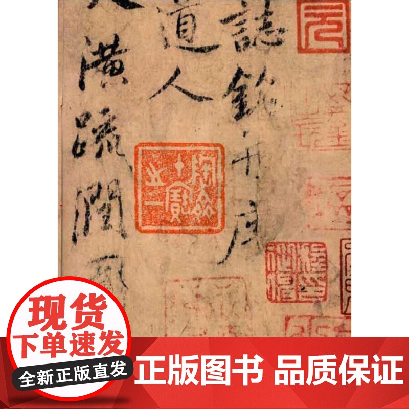 虞世南汝南公主墓志铭 上海博物馆藏历代碑帖经典放大系列上海博物馆编上海书画出版社行书法帖碑帖初学者速成毛笔字帖书法教材高清大图