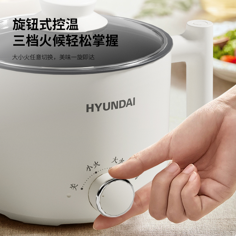 HYUNDAI(韩国现代) 液体加热器(电煮锅)DZG-450C高清大图