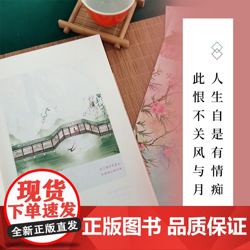 [央视网]宋时明月醉玲珑 诗词中的别样风流 白落梅式的温婉笔触 历史考据与故事演绎结合XF高清大图