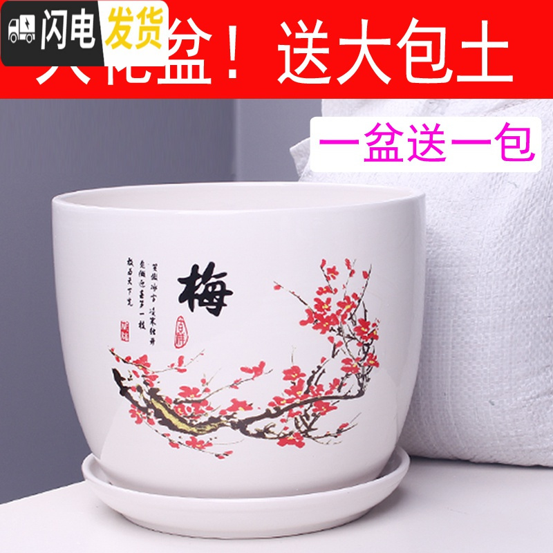 三维工匠特大号花盆陶瓷简约吊兰创意绿萝家用阳台多肉花盆带托盘 303红梅特大号+土 特大花盆容器高清大图