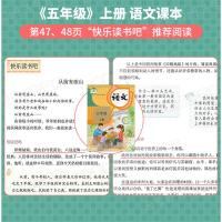 欧洲民间故事精选快乐读书吧五年级上册必读经典书目正版全套4册 小学生课外阅读书籍中国民间故事非洲民间故事列那狐的故事书