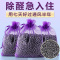 活性炭包除甲醛除味新房竹炭包家用装修吸甲醛清除剂新车去味碳包