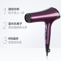飞科电吹风机女家用理发店负离子不伤发大功率发廊吹风筒 抖音同款