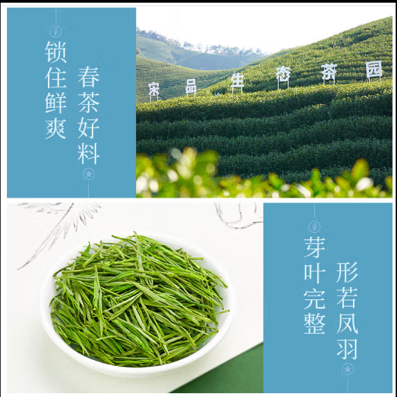 八马茶业(BAMA TEA) 天目春雨白茶-250g高清大图