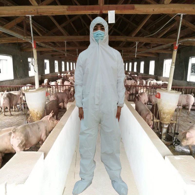 覆膜一次性全身防护服连体带帽连脚猪场畜牧业防水防臭隔离工作服 覆膜SF一次性防护服不带脚