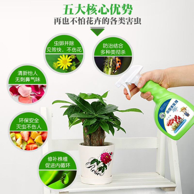 坤宁王 植物盆栽花草通用喷雾红蜘蛛蚧壳虫介壳虫蚜虫蔬菜 花卉杀虫剂500ml