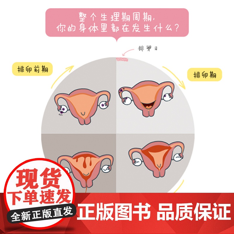 生理期很酷 青春期女孩必备生理周期全书 生理知识科普 北京科学技术高清大图