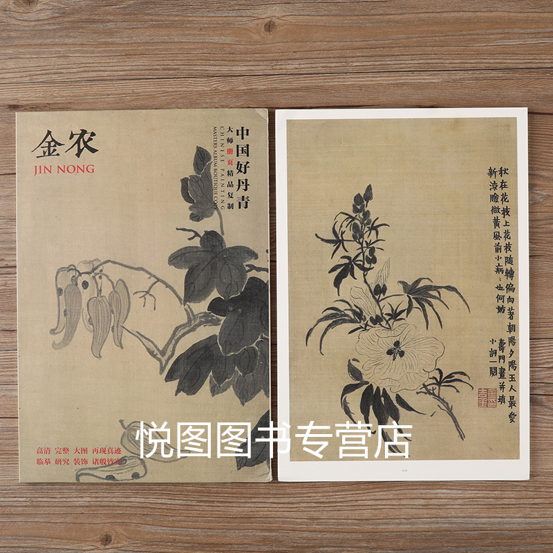 [正版]金农画集中国好丹青大师册页精品复制金农画册人物山水花卉杂画梅花图作品集80幅高清大图临摹研习教学范本四川美术97高清大图