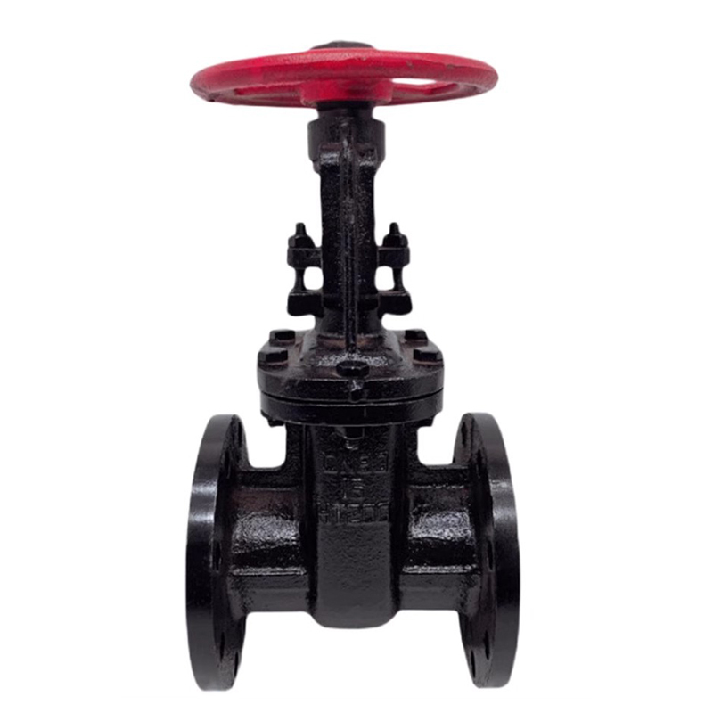 冰城同祥 铸铁闸阀 Z41T-16 DN50 台高清大图