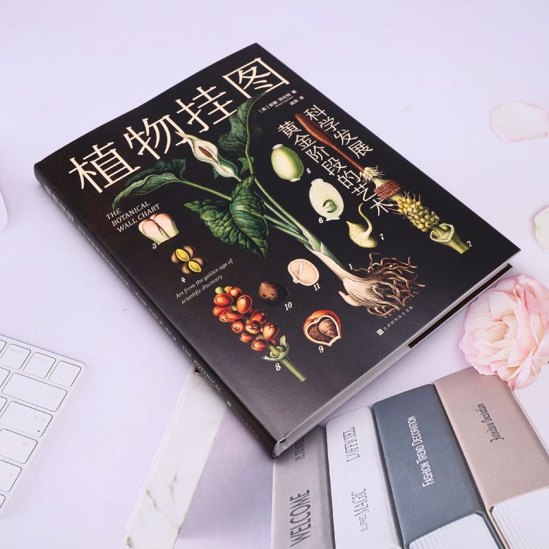 [正版]植物挂图:科学发展黄金阶段的艺术(120余幅精美挂图,解读多姿多彩的植物世界,精巧描绘植物生命的奥秘)高清大图