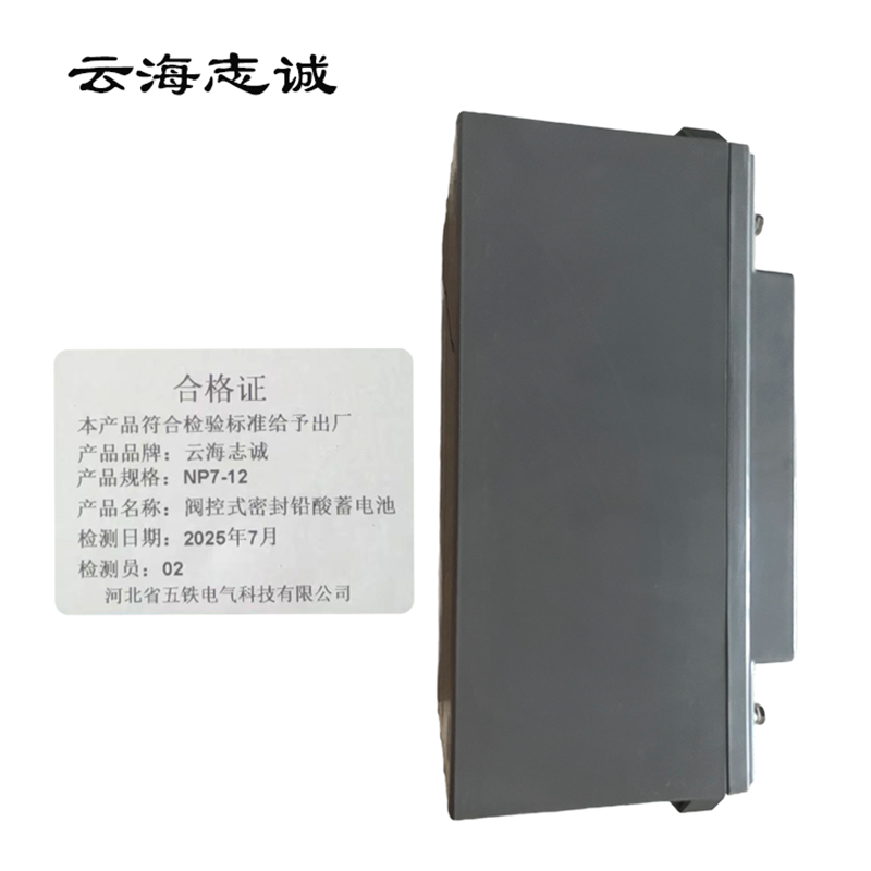 阀控式密封铅酸蓄电池 NP7-12 1只高清大图