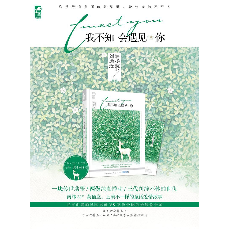 正版 我不知会遇见你 清扬婉兮,刘远近[著] 花山文艺出版社 9787高清大图