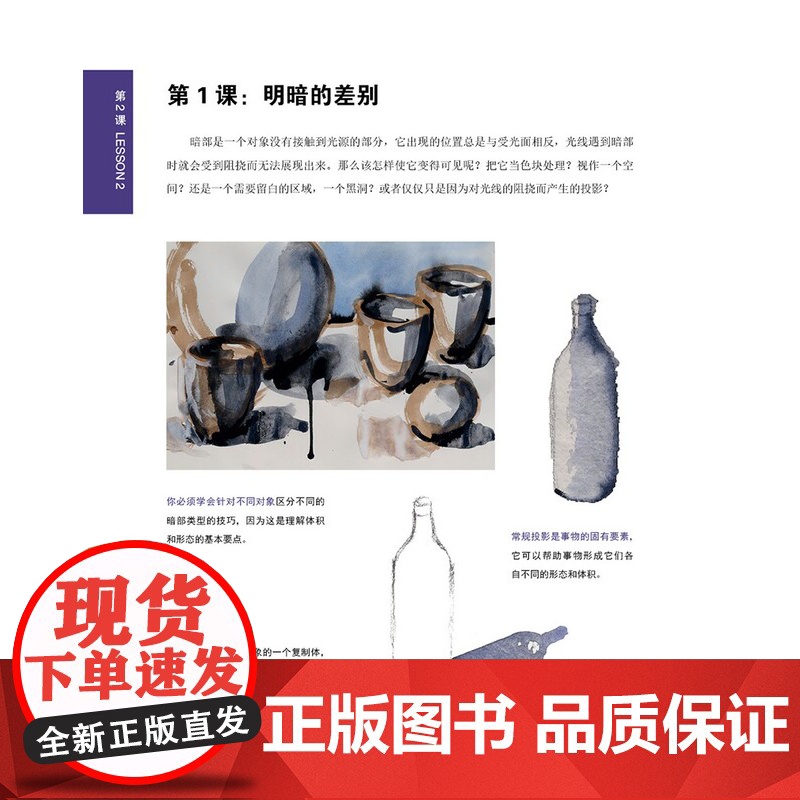 30天学会明暗关系 素描油画明暗关系概念理论绘画自学基础入门技巧教学艺联考高考美术教材分步解析进阶教程书 上海人民美术出高清大图