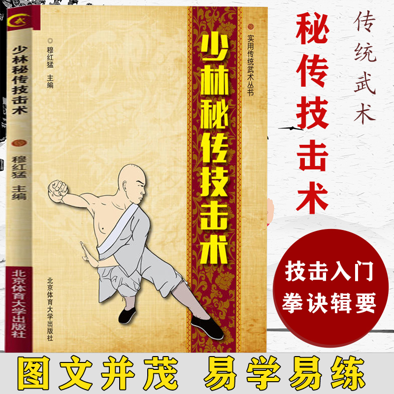 正版图书]少林秘传技击术实用传统武术丛书中国功夫少林武学专项训练