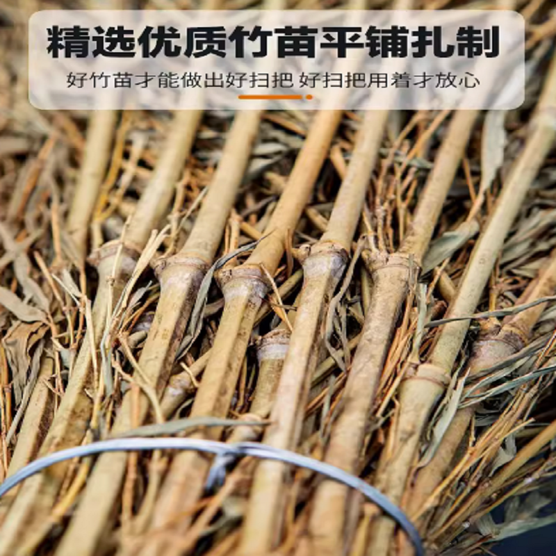 竹子大扫帚高清大图
