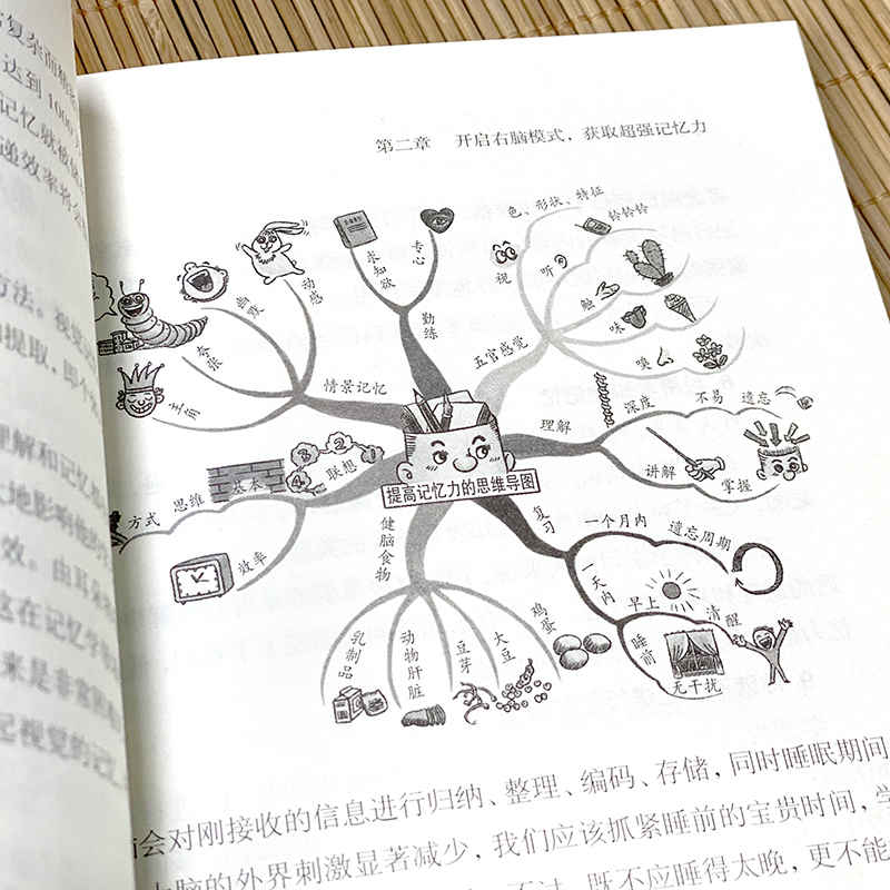[正版]5册 超级记忆术 思维导图 强大脑 思维风暴高效提升脑力快速有效的左右脑潜能智力脑力开发技巧书籍书