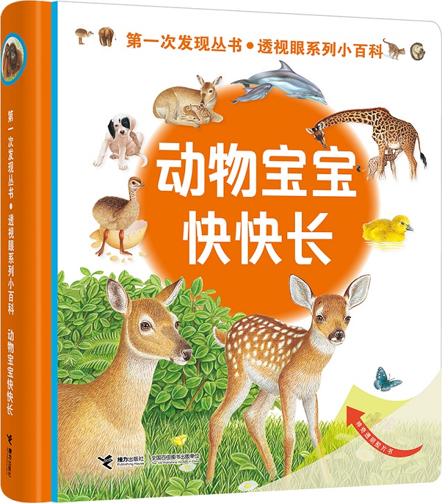[正版]接力出版社第一次发现丛书透视眼系列小百科共4册 3至7岁儿童科普经典童书 我的身体真棒呀 动物宝宝小学生课外阅高清大图