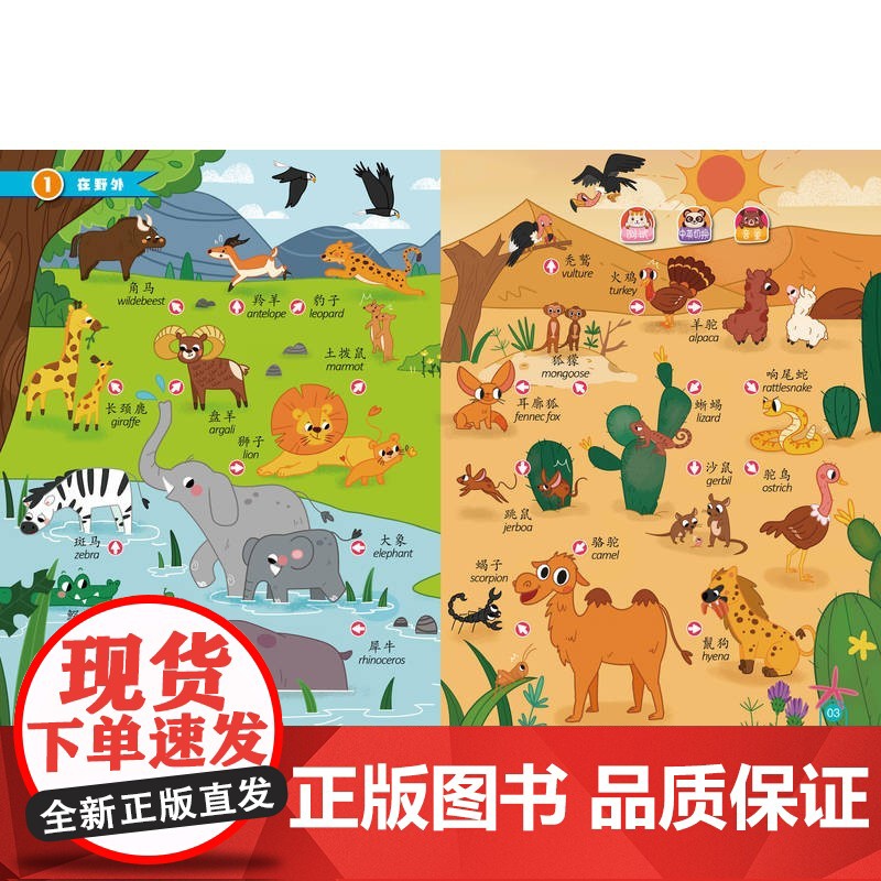 瑞莉兔手指点读互动发声书 早教启蒙大全 蜜桃老师 著 幼儿启蒙高清大图