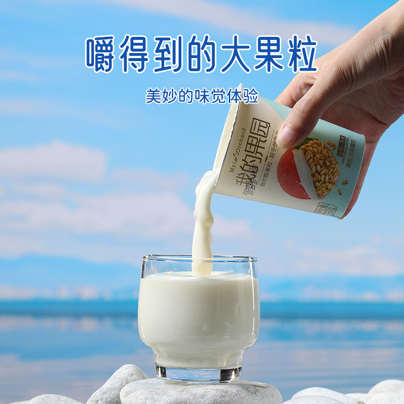 来思尔我的果园白桃燕麦酸奶150g*12杯 高原牧场大理风味酸牛奶 冷链运输新鲜到家