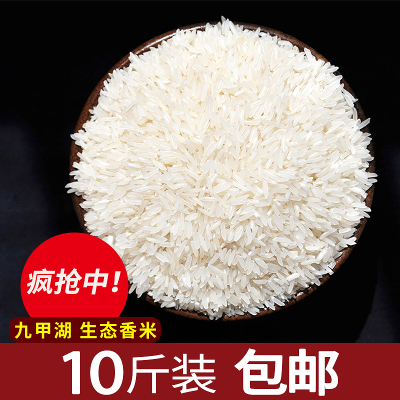 九甲湖新生香米10斤高品质大米粥米2019新不抛光宝宝有机富硒胚芽米香米碎米5kg农家自产营养