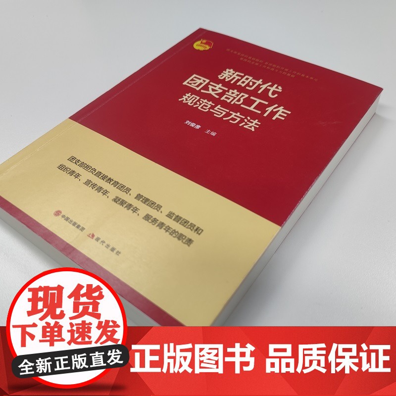 [央视网]新时代团支部工作规范与方法 共青团团委书记团员党员教育管理实用手册HJ高清大图
