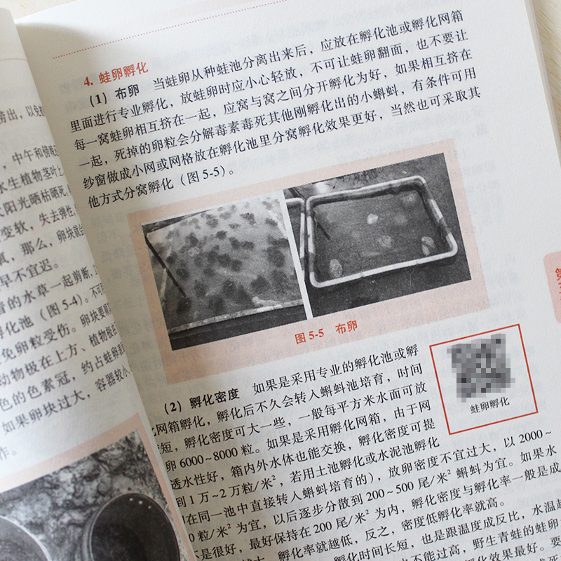 [醉染正版]青蛙养殖一本通 青蛙养殖技术大全书籍食用蛙青蛙生态养殖牛蛙石蛙林蛙书籍稻田养殖蜉化学殖疾病防治科学饲养实例高清大图