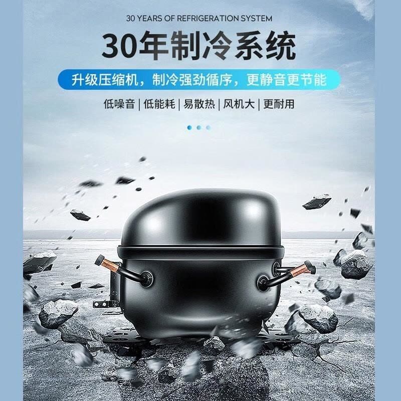 百利(BAILI)SD-200DK商用展示柜移动摆摊冰箱餐车专用冰柜商用冷冻柜三轮车摆地摊烧烤柜台面保鲜冷藏柜水果图片