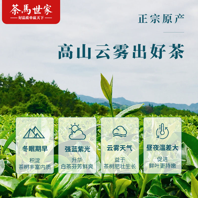 茶馬世家 2020年白露寿眉新茶太姥山福鼎 白茶叶饼350g高清大图